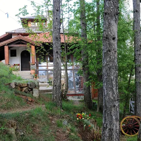 Apartmán Carevo Polje